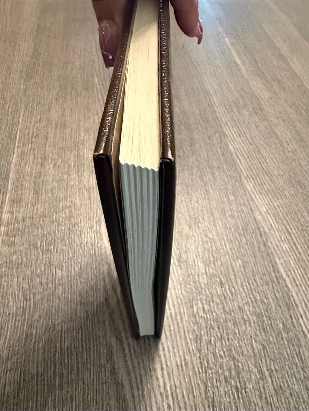 Louis L'Amour Hardback - Radigan